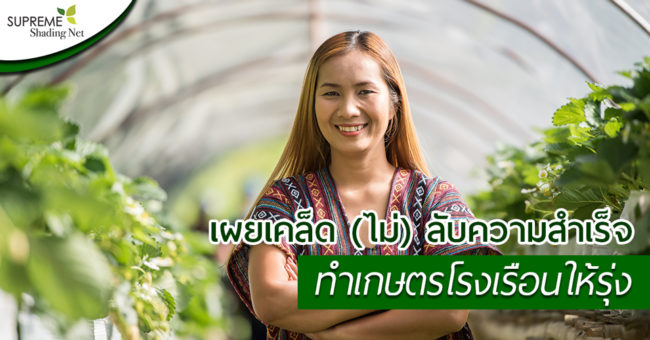 สแลนลามิเนต 30% (GREENHOUSE FILM 220)