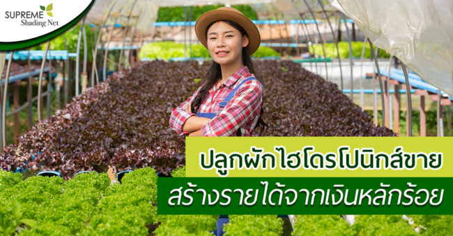 SUPREME-SHADE-NET—พลาสติกคลุมโรงเรือน—ผักไฮโดรโปนิคส์ SUPREME-SHADE-NET---พลาสติกคลุมโรงเรือน---ผักไฮโดรโปนิคส์