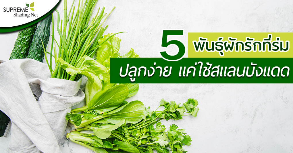 SUPREME-SHADE-NET---สแลนบังแดด---ผักปลูกในที่ร่ม---เกษตรโรงเรือน
