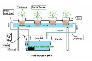 ปลูกผักไฮโดรโปนิกส์---ระบบการปลูกแบบรางน้ำ